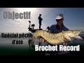 Brochet record spcial pche estivale les meilleurs spots techniques approches et leurres