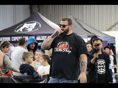 vlog-#12-sydney-australia-abkc-dog-show-part-1