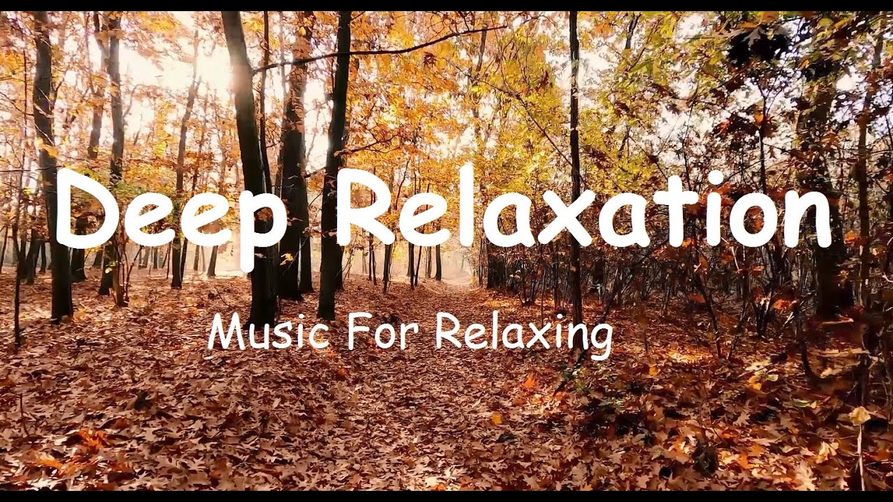 Beautiful relaxing music for Sleep The Best Songs for Relaxing Piano