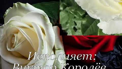 Thumbnail of Ирина Круг и Виктор Королев - Букет из белых роз