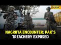 Nagrota Encounter: Evidence Shows 4 Slain Terrorists Were In Touch With Pakistani Handlers