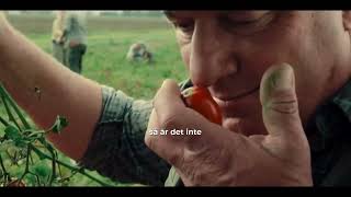 Mutti Polpa Ett Tecken På Kvalitet