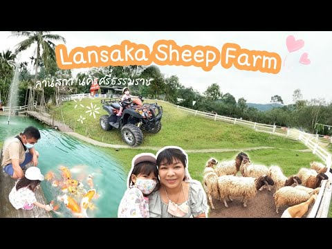 รีวิวพาเที่ยวลานสกาฟาร์มแกะ นครศรีธรรมราช ep.46