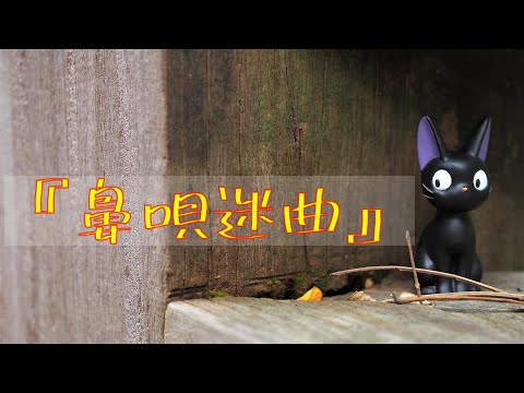 『防人の詩/さだまさし』(cover)