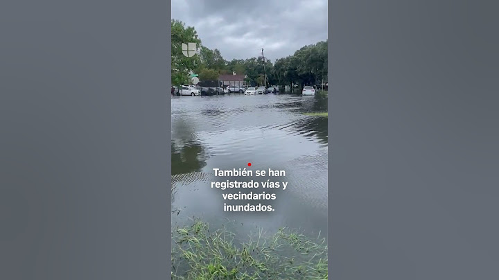 Así quedaron las calles en Houston tras el impacto del mortal huracán Beryl