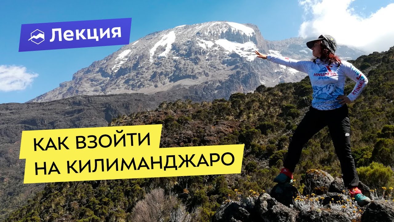 Машина до килиманджаро