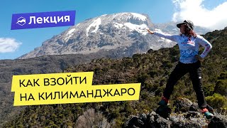 Как взойти на Килиманджаро