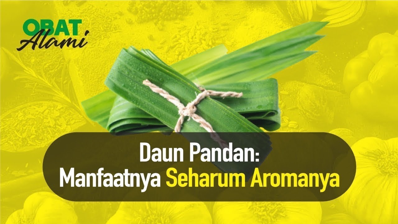 Obat Alami! Efektif Atasi Diabetes, Reumatik Hingga Asam Urat | Hidup Sehat