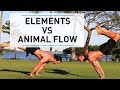 GMB Elements vs. Animal Flow - How do they compare? の動画、YouTube動画。