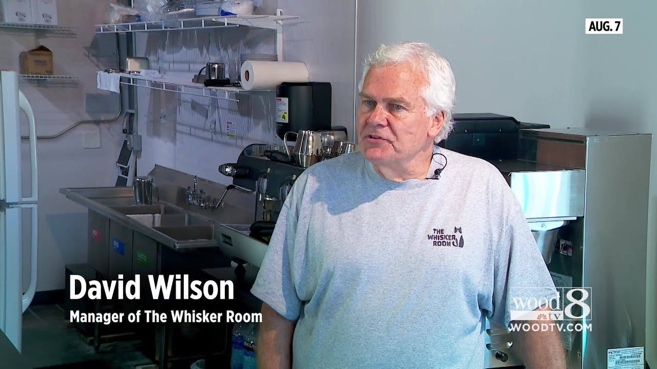 New cat café in Muskegon seeks to empower people with disabilities