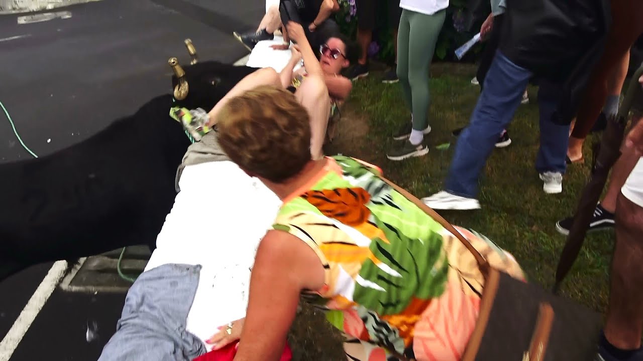 4 Ribeiras - Concurso Ganadarias - Touros (JAF 240) - (ER 443) - (HF 428) - (JG 4) - Ilha Terceira