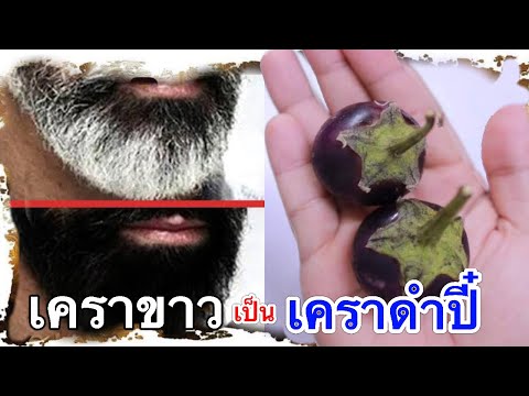 ตะลึง!! พบแล้ว วิธีปลูกหนวด หนวดเคราขาว ให้กลับหนวดเคราหนาดกดำ ด้วยวิธีธรรมชาติ ไม่ต้องย้อม