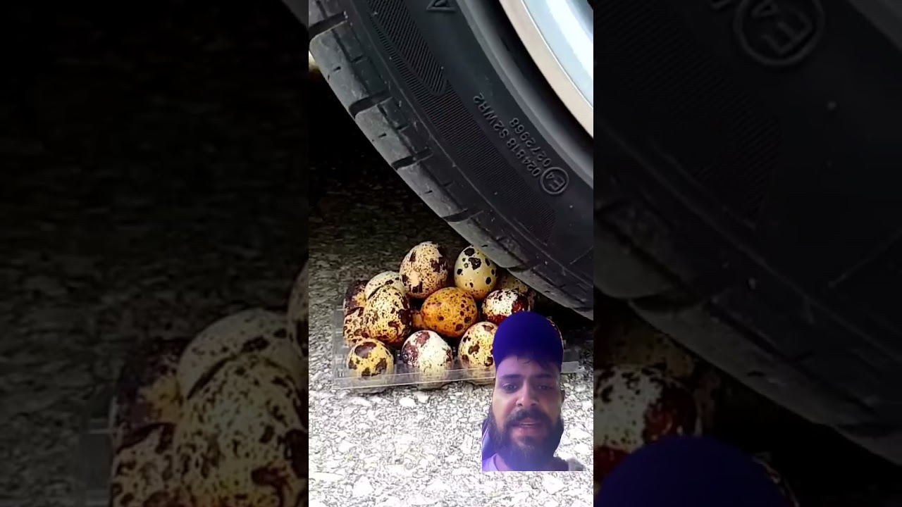 Car tyre vs egg 