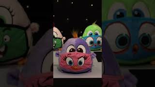 Hatchlings Put Up A Fashion Show