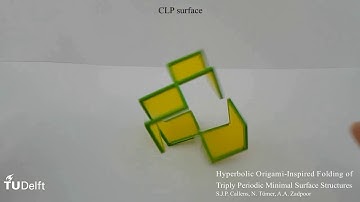 Self-folding of a minimal surface, TUDelft, Prof. Amir A. Zadpoor