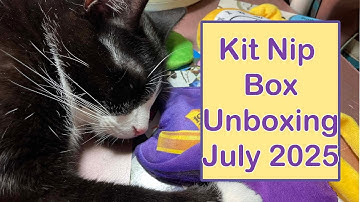 Kit Nip Box Unboxing | July 2025