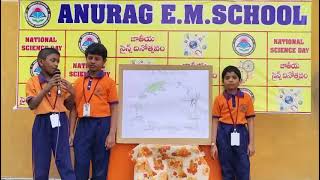 Cycle of Frog  Project Presentation by Jashua, Lohith, Vernica 4th class 2026