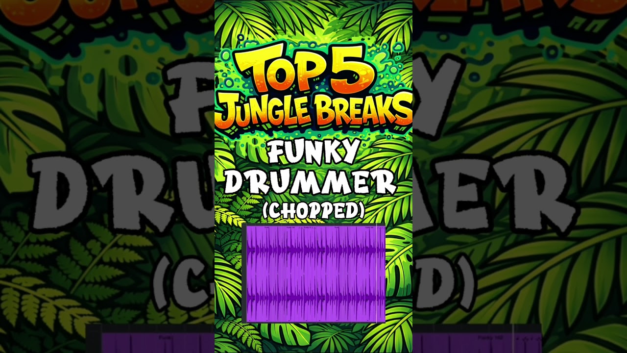 Top 5 Jungle Breaks
