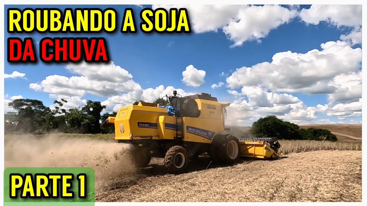 Dia de colheita de SOJA, Não para de chover (Colheitadeira New Holland TX 4.90)