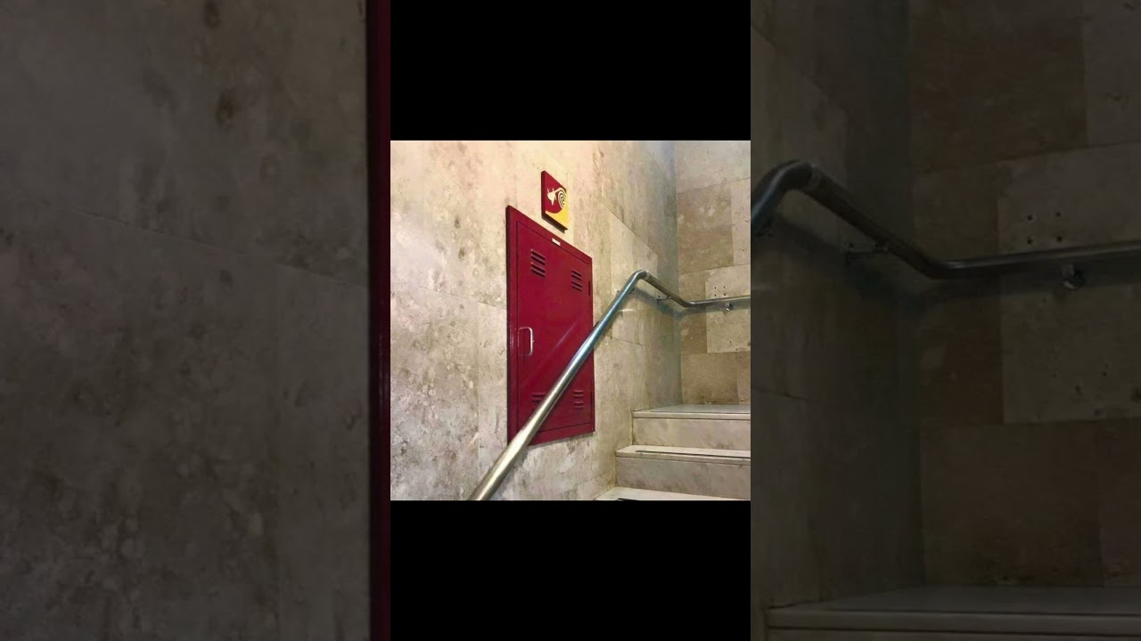 Pictures of things part 4 