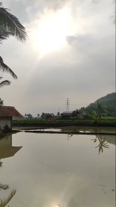 DI TAMBAK SAMBIL NYANTAI | HALU STORY #shorts  #storyhalu #storyig #storywa