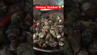 Cooking sea shells called “Aninikad” in our place seashells  seafood