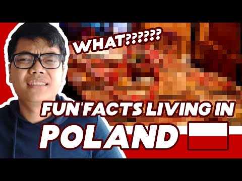 Video: Pelacur Poland: Bertemu Pelacur Hutan Di Luar Warsaw - Rangkaian Matador