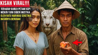 Download Lagu TERHARU! BURUH PETANI KOPI MISKIN YANG DIBERI MUSTIKA OLEH RATU HARIMAU SEKETIKA NASIBNYA BERUBAH MP3 Download Lagu TERHARU! BURUH PETANI KOPI MISKIN YANG DIBERI MUSTIKA OLEH RATU HARIMAU SEKETIKA NASIBNYA BERUBAH MP3