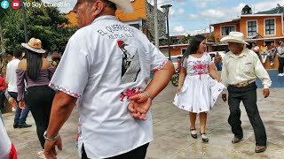 ¡REGRESÓ EL HUAPANGO EN XILITLA! ¡REGRESÓ DON CELSO! - "LA SOLEDAD" - TRÍO FAMILIA HUASTECA