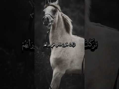 تركت ظنون الناس عني و رأيهم 3abdullah 