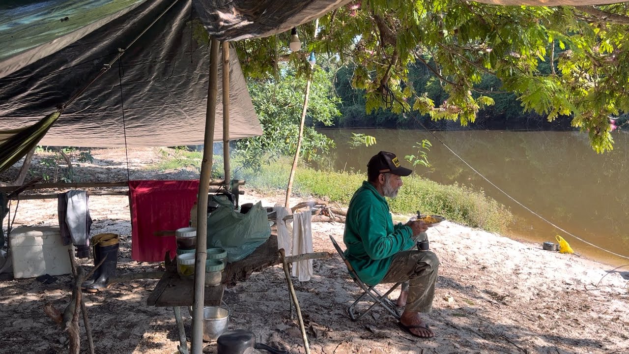 AVENTURA NA SELVA REGISTRO DE PÁSSARO RARO