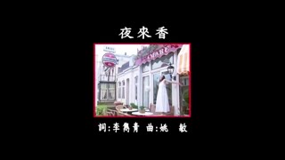 曜新穎之星 - 金牌國語老歌KTV 06-6 夜來香