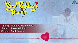 Yaad Rakhegi Duniya : Naina O Meri Naina Full Audio Song | Aditya Pancholi, Rukhsar |