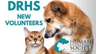Dubuque Regional Humane Society: Welcome, New Volunteers!