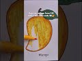 Turning a Simple Mango Sketch into a Juicy Masterpiece 🥭🎨 #shorts
