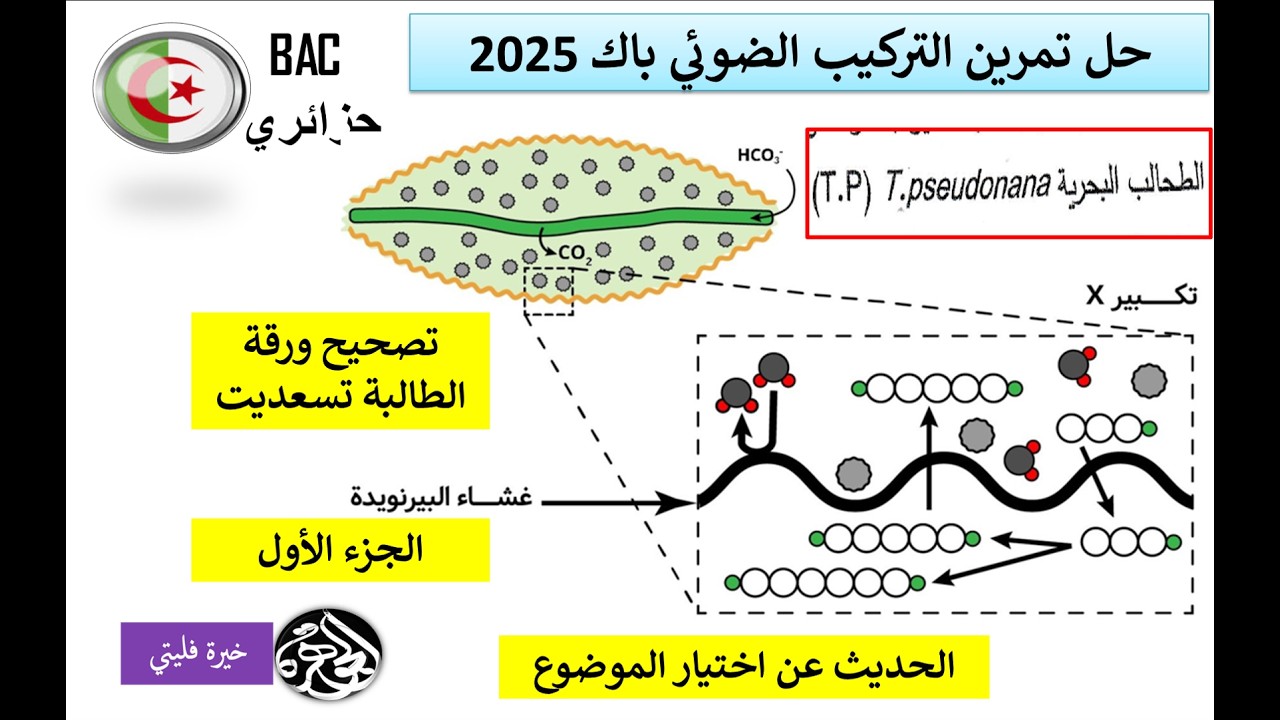 مناقشة الجزء الأول من تمرين التركيب الضوئي باك 2025