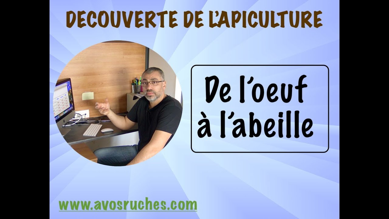 TUTO découverte de l'apiculture : De l'oeuf à l'abeille
