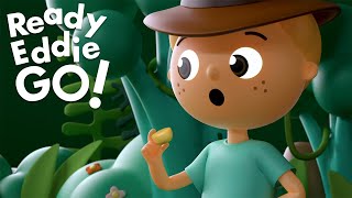 Trying New Foods 🥦 Ready Eddie Go! Full Episode ⭐ New On Timmy & Friends