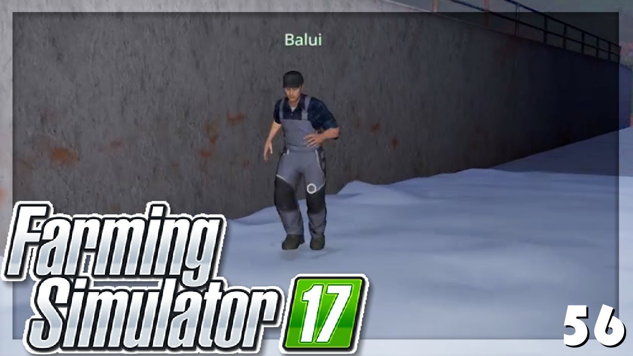 Silos leer machen - Landwirtschafts Simulator 17 - 56 - miri33, Balui, Items4Sacred