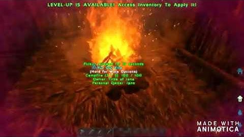 Getting Started on Valguero - (Ep. 1) ARK Survival Evolved