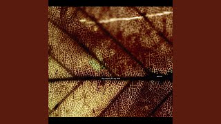 Pay money To my Pain - Truth fragile