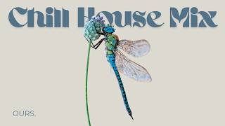 Drifting on Light | Minimal House for Deep Work