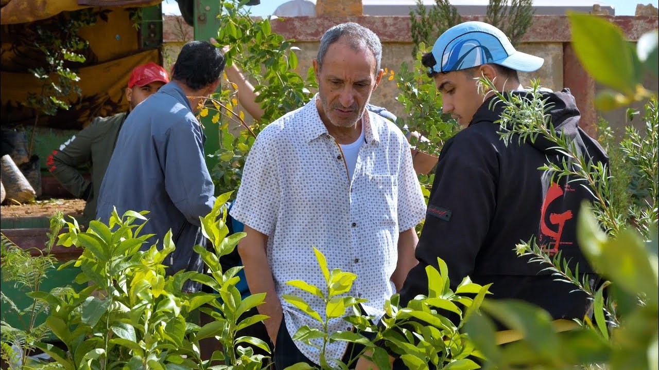 اقبال على اقتناء الأشجار بسوق تيارت