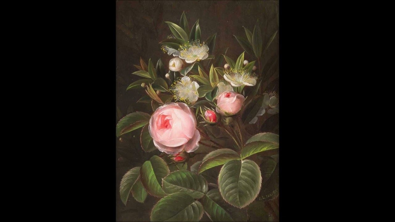 Robert Schumann MIT MYRTEN UND ROSEN (Heine), op. 24/9 │ Daniel