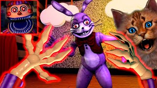 картинка: ИГРАЮ ЗА АНИМАТРОНИКА БАЛУН БОЙ ФНАФ 3D ПУГАЮ ОХРАННИКА КООП FNAF ROBLOX FNAF Help Wanted