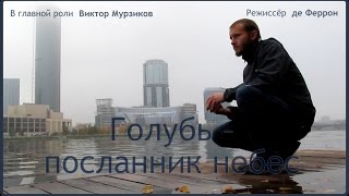 Голубь – посланник небес Голубь – посланник небес