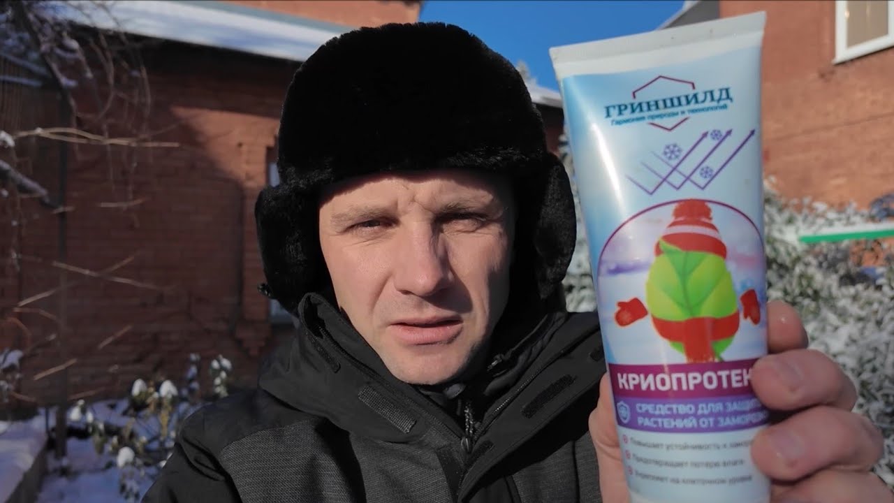 Проверяем Криопротектор - YouTube