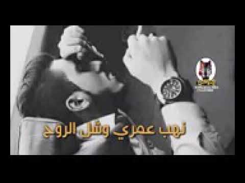 حالات واتس اب يمنيه 2019 انا ربيت وغيري شل
