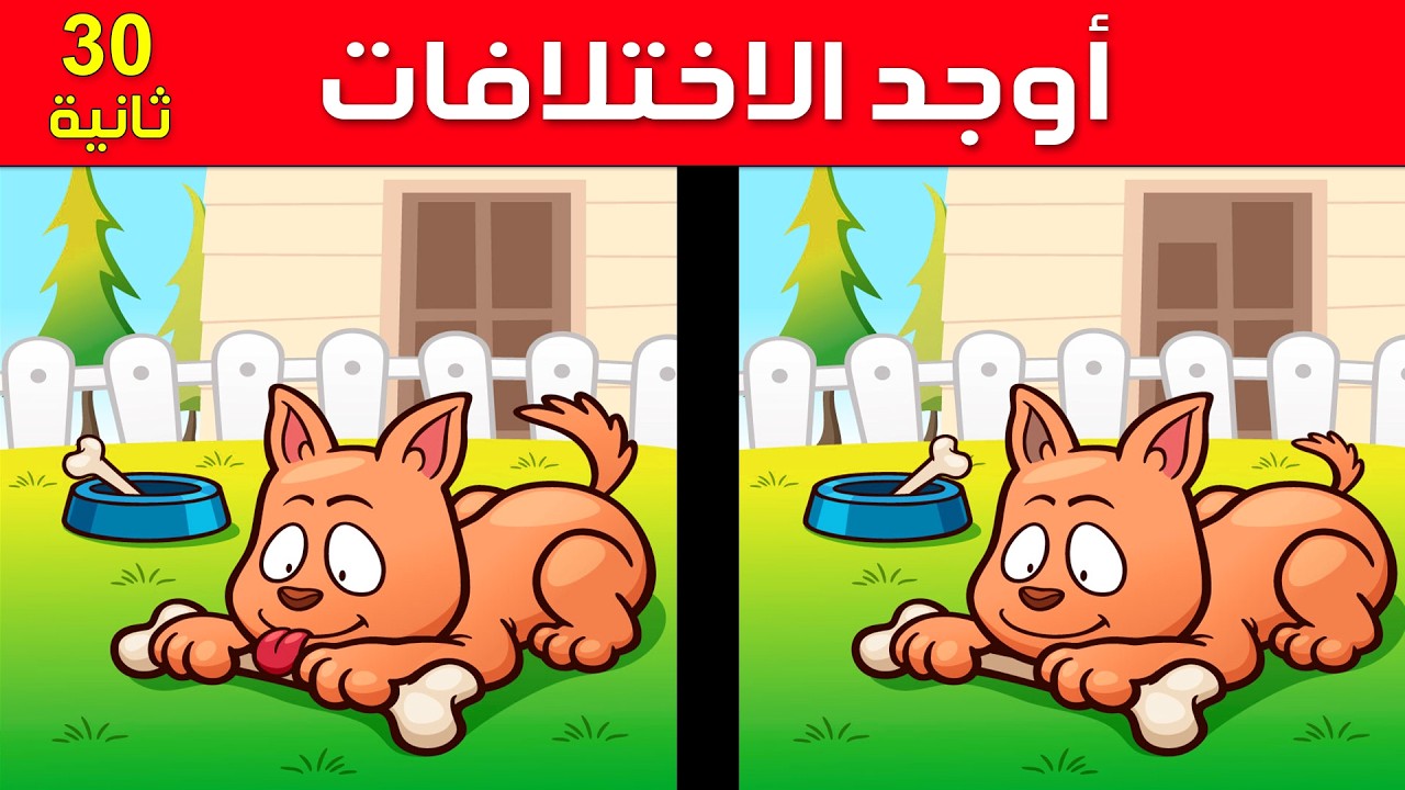 اوجد الاختلاف بين الصورتين !! أتحداك أن تقوم بحل جميع الصور | تحدي لأصحاب النظر الخارق🧐