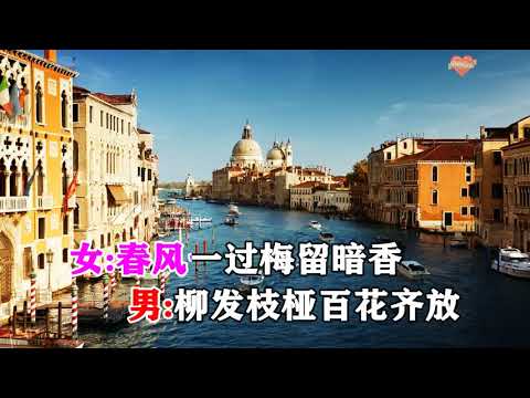 姚阿牛 红蔷薇   暗香如故   MTV